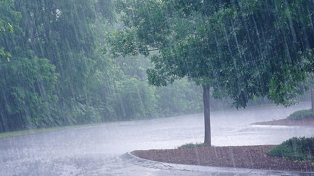 Thunderstorm alert for 14 Odisha districts