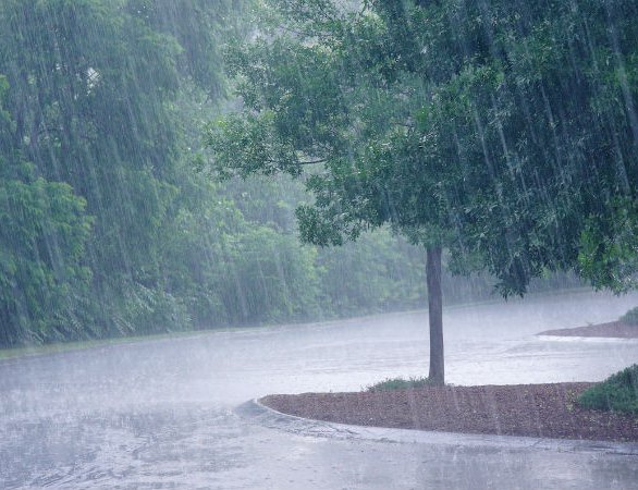 IMD Predicts Heavy Rainfall Today in 11 Districts of Odisha