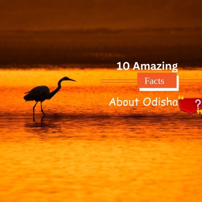 10 Amazing Facts about Odisha