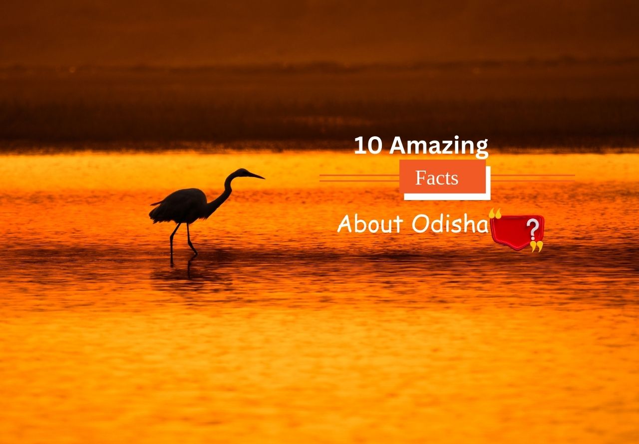 10 Amazing Facts about Odisha