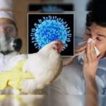 BIRD FLU CASE