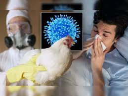 BIRD FLU CASE